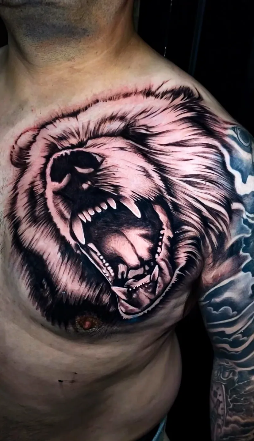 black and grey realism roaring bear chest piece tattoo by Steve Bachman, Long Beach